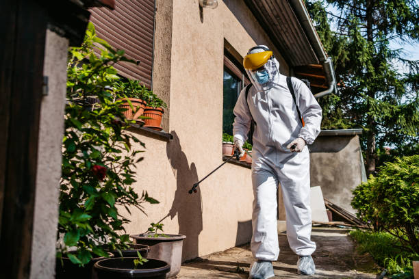 Best Pest Prevention Services  in Monona, WI