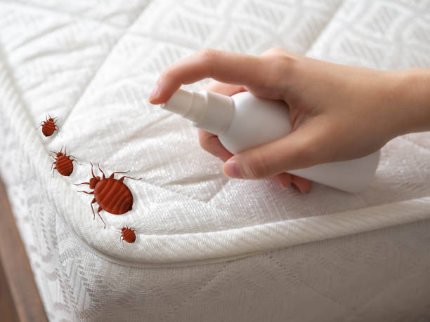 Best Flea Control Services  in Monona, WI