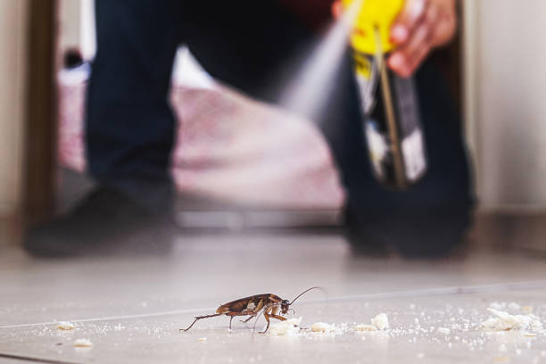 Best Cockroach Control Services  in Monona, WI