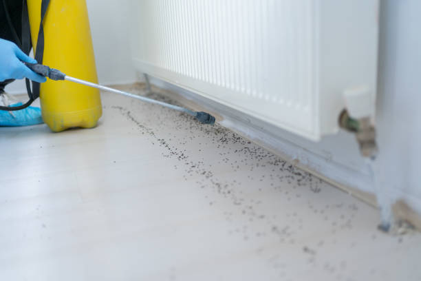 Best Emergency Pest Control  in Monona, WI
